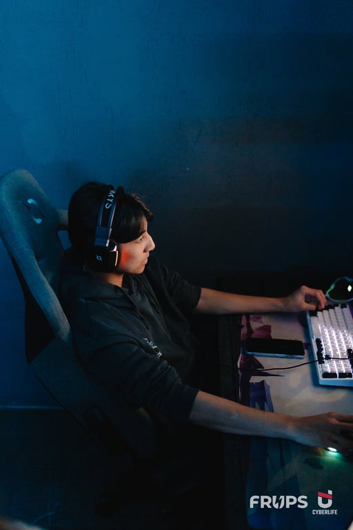 PROJECT: MIX DAY by Frups | PlayOff