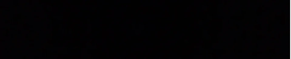 EMBERION banner