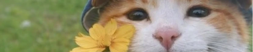 殺 banner