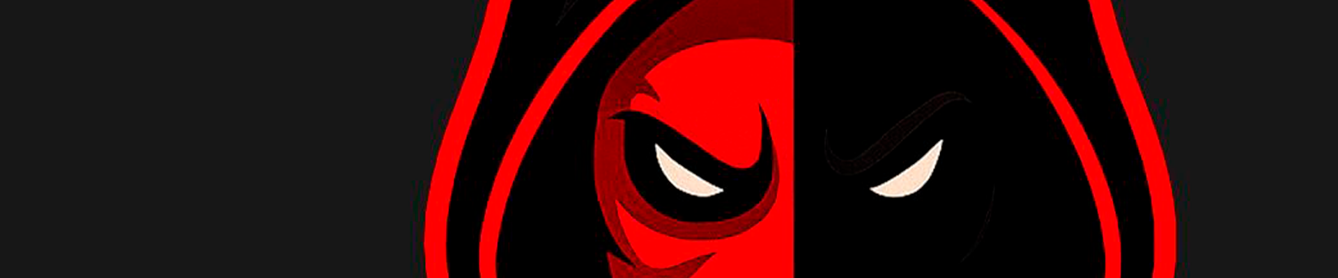 MadnessTeam banner