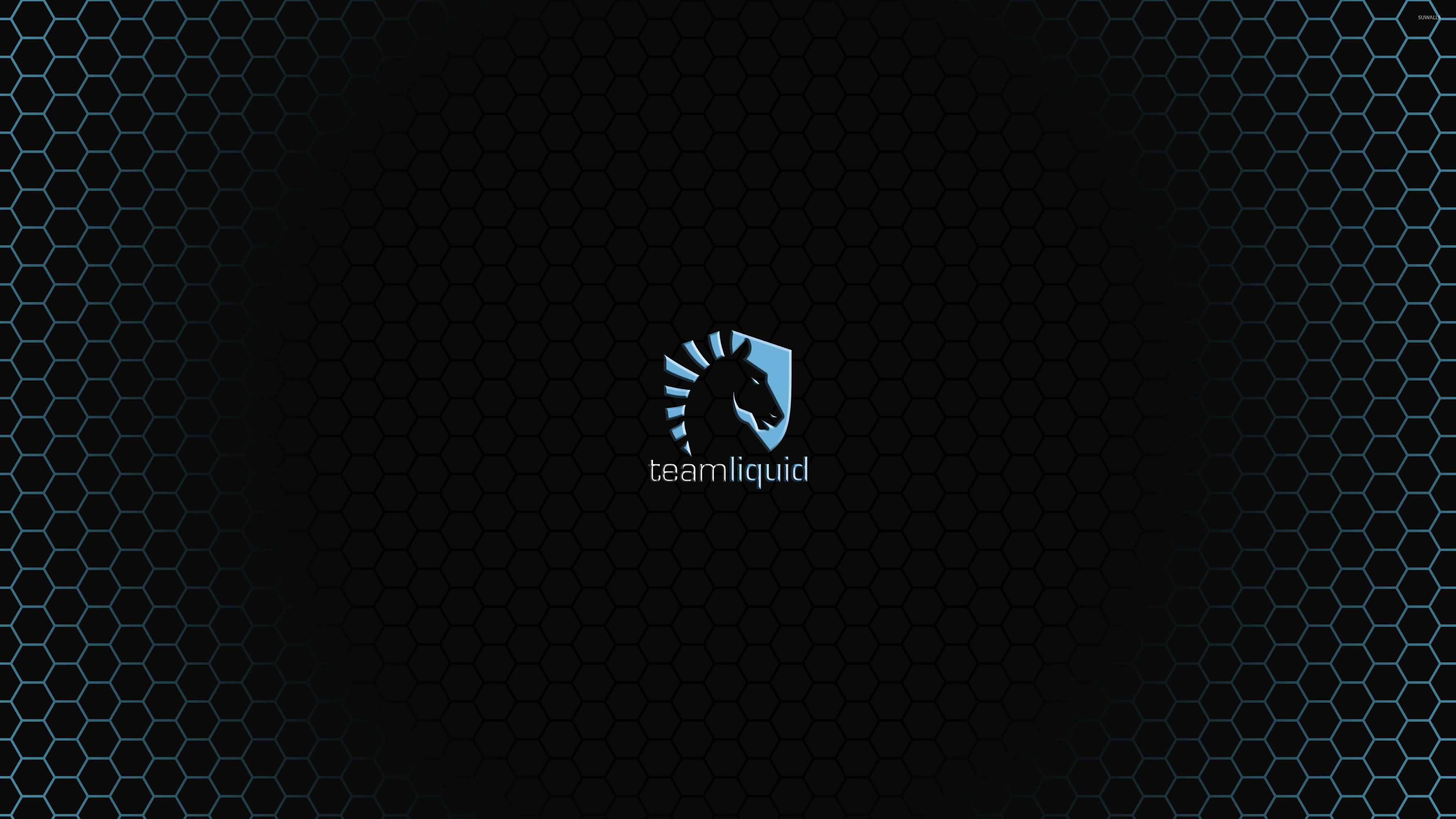 Team Liquid Md banner