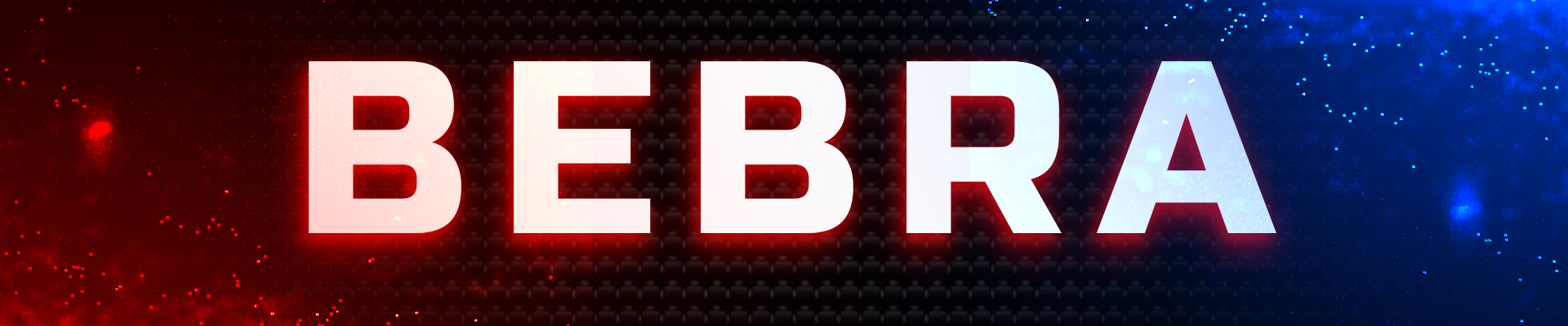 Team Bebra banner