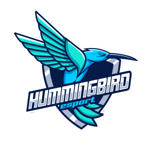 Team Hummingbird