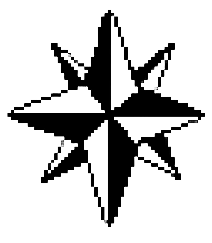 BEDOLAGA logo