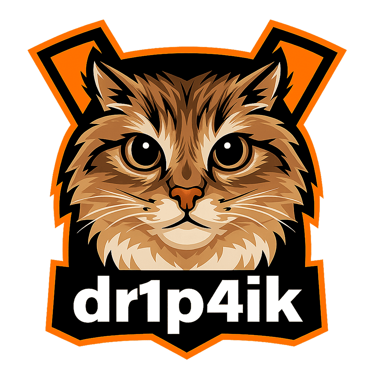 dr1p4ik
