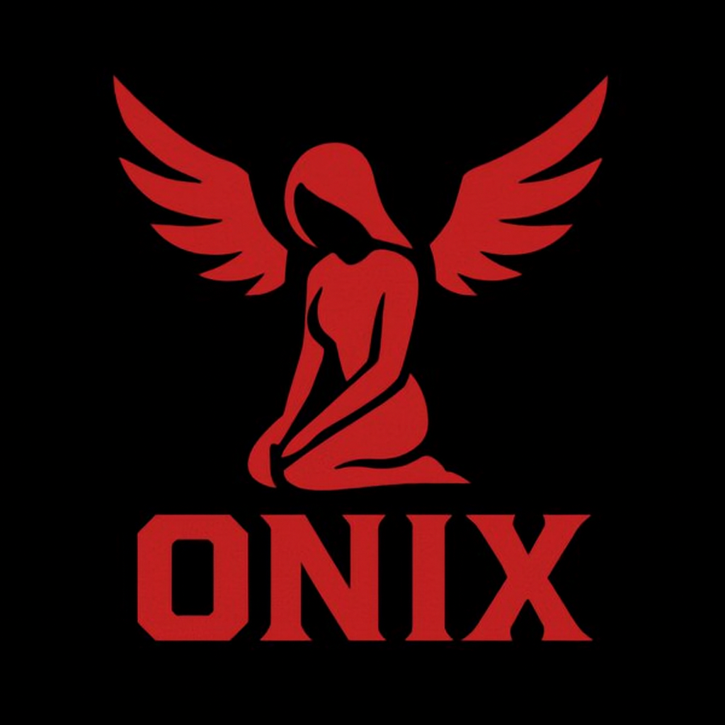 OnixTeam logo