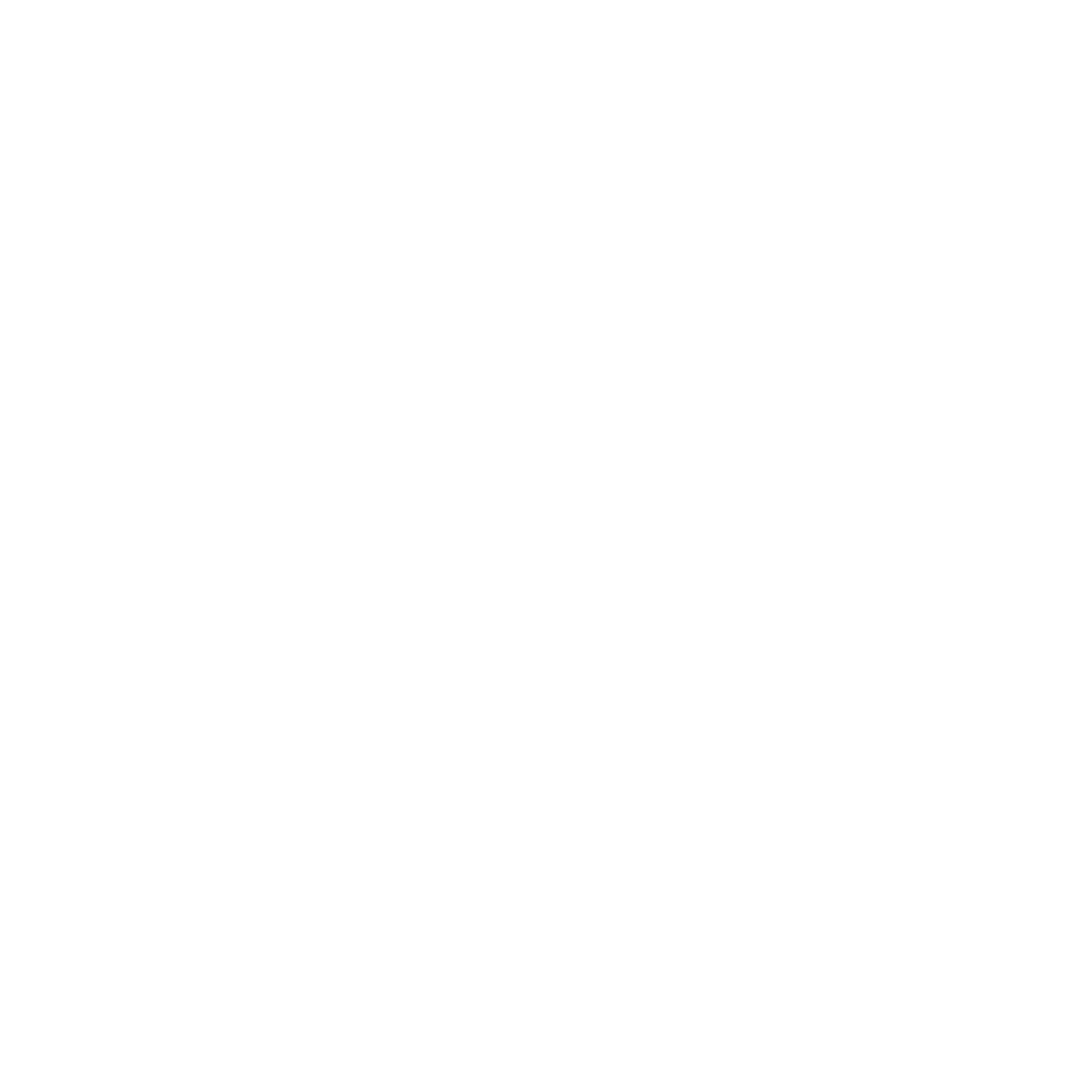 Team Spirit