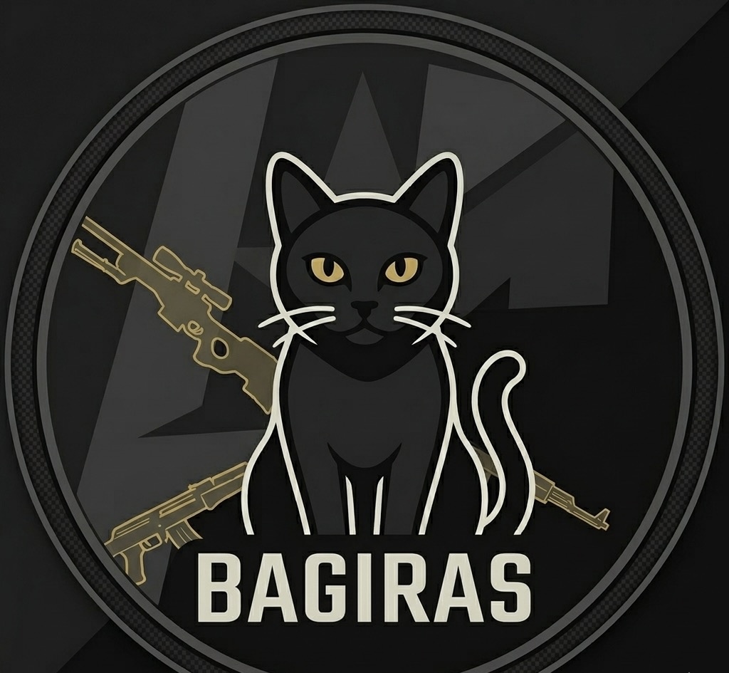 Team Bagiras logo