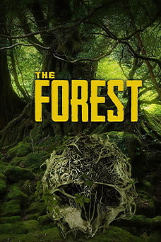 The Forest